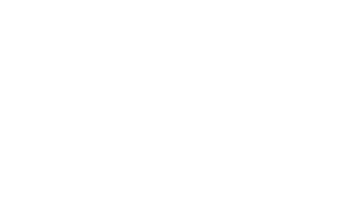 SEBRAE